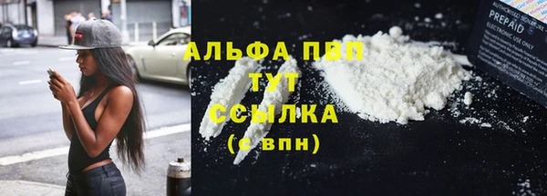 дживик Бородино