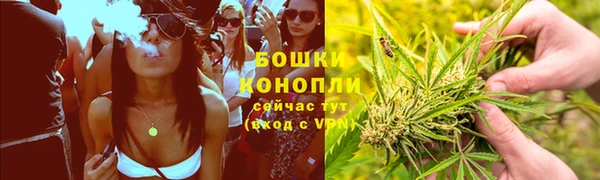 дживик Бородино