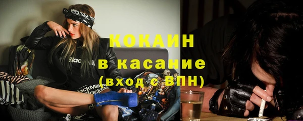 дживик Бородино