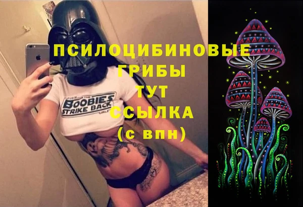 дживик Бородино