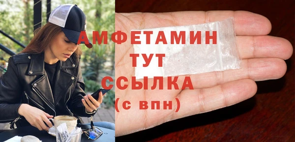 дживик Бородино