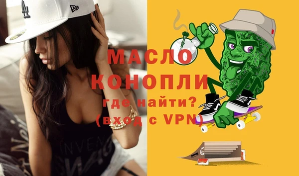 дживик Бородино