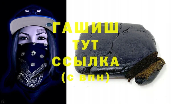 дживик Бородино