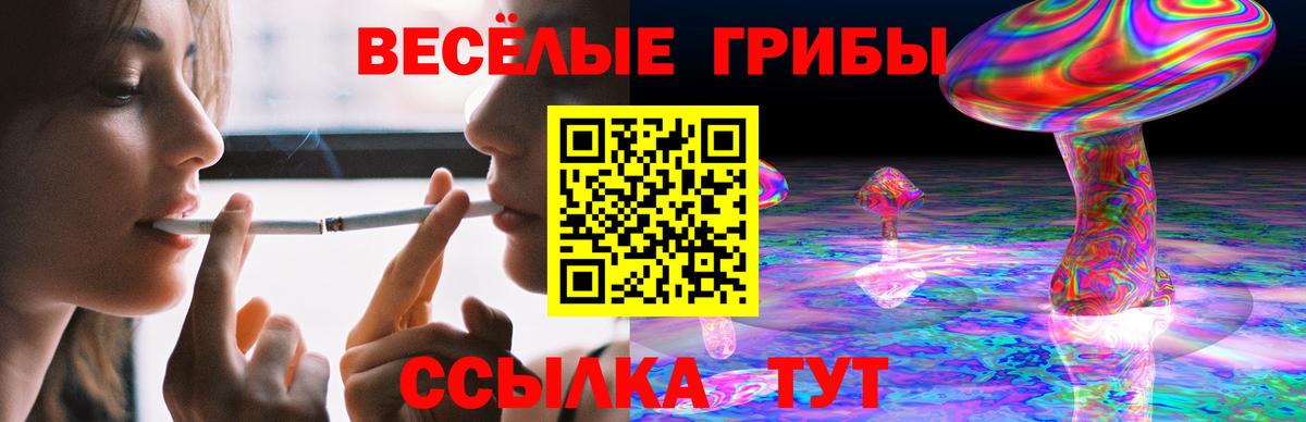 Псилоцибиновые грибы MAGIC MUSHROOMS Можайск